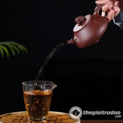 Ấm Tử Sa Thạch Biều Long Tôn Tử Nê 250ml 6 am tu sa thach bieu long ton-1014106016-3