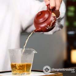 Ấm Tử Sa Thủy Bình Ám Hương Đại Hồng Bào 200ml 8 am tu sa tieu anh mai hoa--3