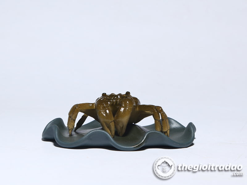 con cua doi mau-1014106016-11