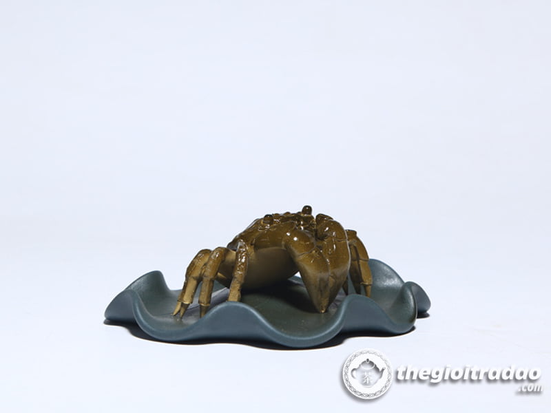 con cua doi mau-1014106016-12