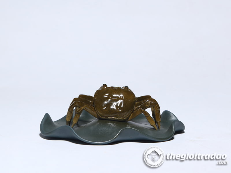 con cua doi mau-1014106016-13