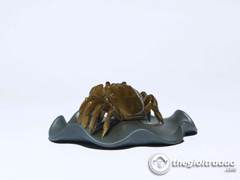 con cua doi mau-1014106016-14