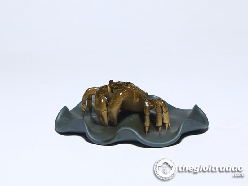 con cua doi mau-1014106016-15