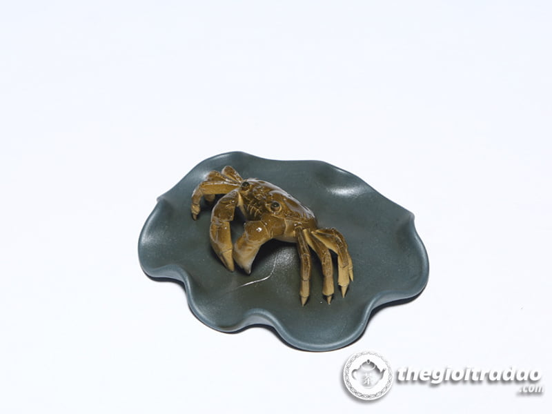 con cua doi mau-1014106016-16