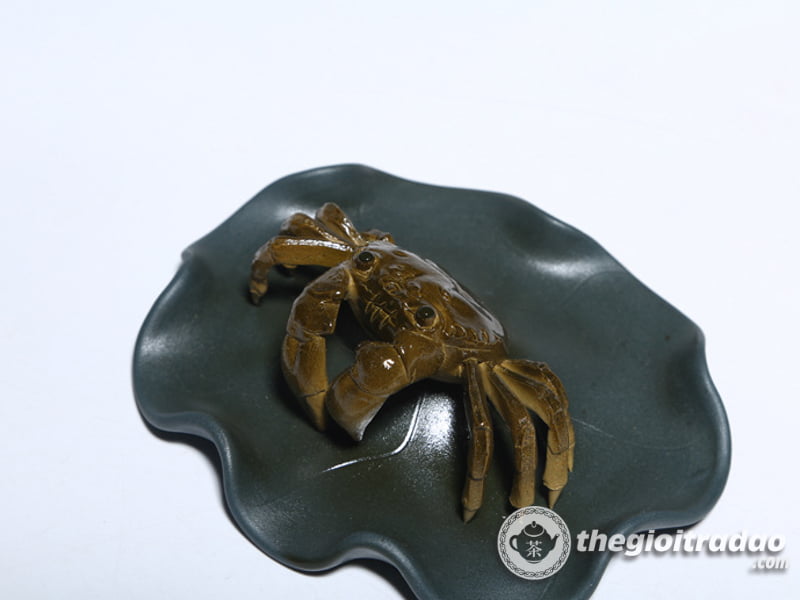 con cua doi mau-1014106016-17