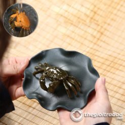 Cua Đổi Màu, Trang Trí Bàn Trà, Pet Trà Đạo 5 con cua doi mau-1014106016-19