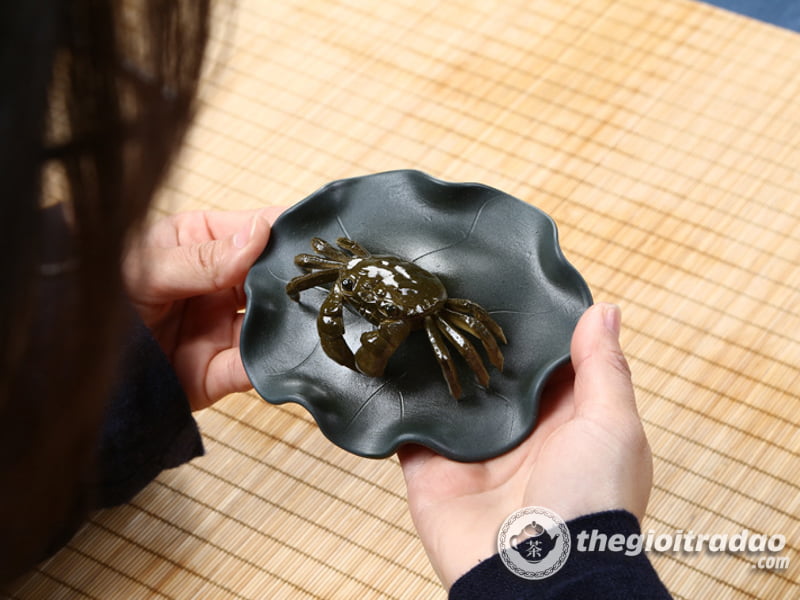 Cua Đổi Màu, Trang Trí Bàn Trà, Pet Trà Đạo 9 con cua doi mau-1014106016-5