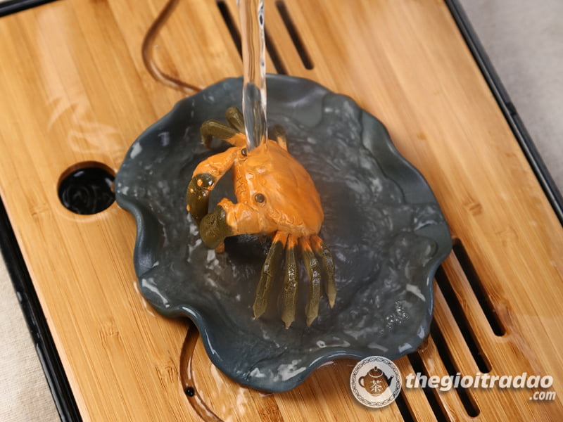 Cua Đổi Màu, Trang Trí Bàn Trà, Pet Trà Đạo 12 con cua doi mau-1014106016-8