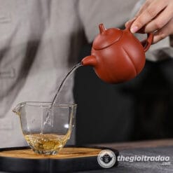 Ấm Tử Sa Kim Qua Thanh Thủy Nê 200ml 7 am tu sa kim qua thanh thuy ne-1014106016-2