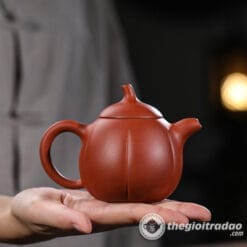 Ấm Tử Sa Kim Qua Thanh Thủy Nê 200ml 6 am tu sa kim qua thanh thuy ne-1014106016