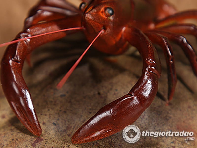 Tom doi mau trang tri ban tra dao-1084023091-14