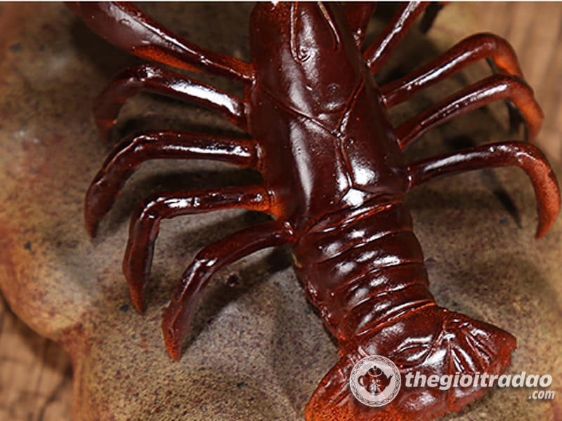 Tom doi mau trang tri ban tra dao-1084023091-15