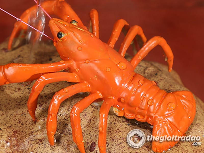 Tom doi mau trang tri ban tra dao-1084023091-16