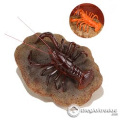 Tôm Đổi Màu Trang Trí Bàn Trà Đạo, Pet Trà Đạo 7 Tom doi mau trang tri ban tra dao-1084023091-17