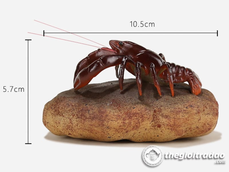 Tôm Đổi Màu Trang Trí Bàn Trà Đạo, Pet Trà Đạo 23 Tom doi mau trang tri ban tra dao-1084023091-19