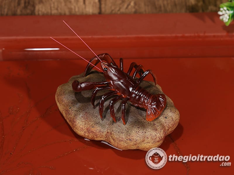 Tôm Đổi Màu Trang Trí Bàn Trà Đạo, Pet Trà Đạo 10 Tom doi mau trang tri ban tra dao-1084023091-6
