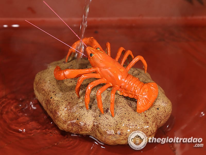 Tom doi mau trang tri ban tra dao-1084023091-8