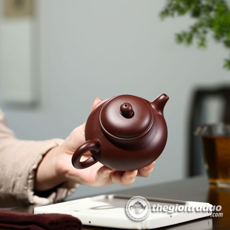 Ấm Tử Sa Phan Hồ Tử Chu Nê 230ml 16 am tu sa phan ho tu chu ne 230ml 11