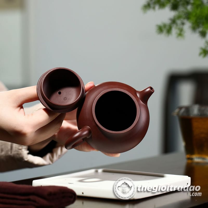 Ấm Tử Sa Phan Hồ Tử Chu Nê 230ml 17 am tu sa phan ho tu chu ne 230ml 12