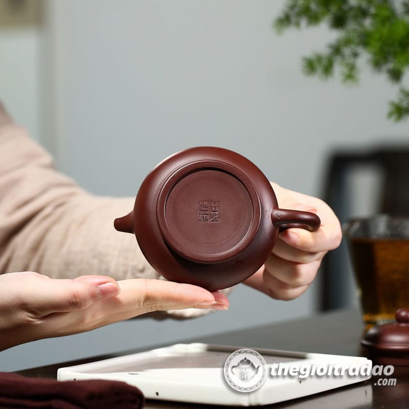 Ấm Tử Sa Phan Hồ Tử Chu Nê 230ml 18 am tu sa phan ho tu chu ne 230ml 13