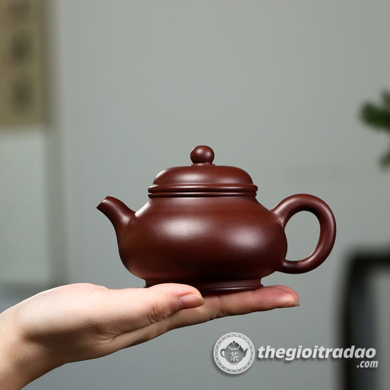 Ấm Tử Sa Phan Hồ Tử Chu Nê 230ml 20 am tu sa phan ho tu chu ne 230ml--15