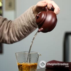 Ấm Tử Sa Phan Hồ Tử Chu Nê 230ml 8 am tu sa phan ho tu chu ne 230ml--3