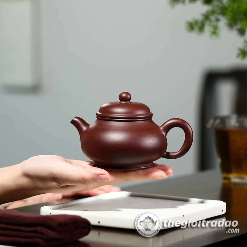 Ấm Tử Sa Phan Hồ Tử Chu Nê 230ml 14 am tu sa phan ho tu chu ne 230ml--9