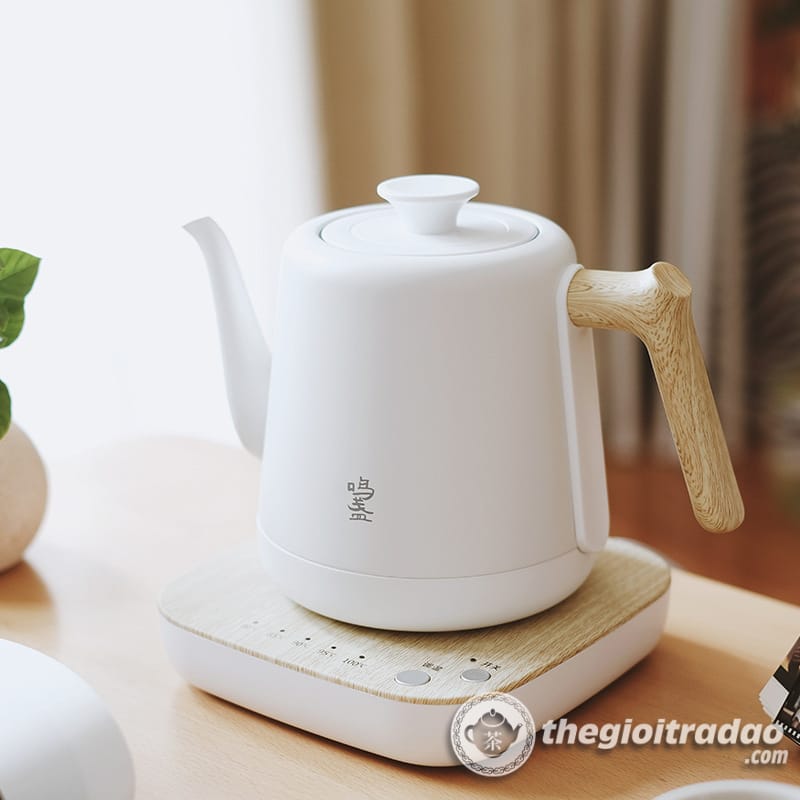 Bep dien dun nuoc pha tra tu dong cao cap 1200w--15