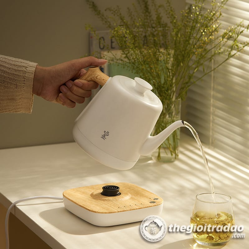 Bep dien dun nuoc pha tra tu dong cao cap 1200w--16