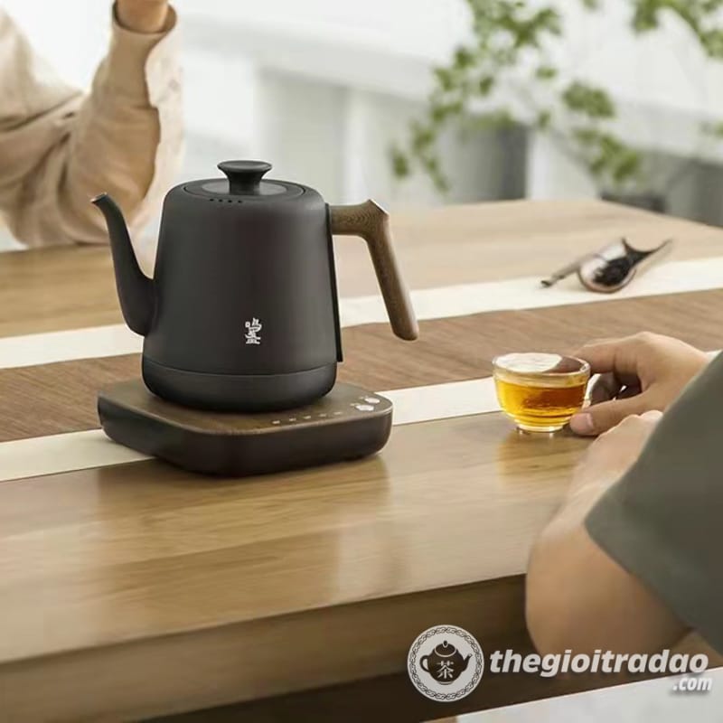 Bep dien dun nuoc pha tra tu dong cao cap 1200w--2