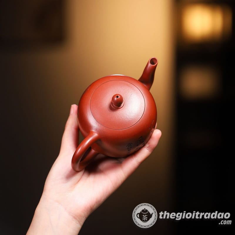 am tu sa my nhan kien dai hong bao 250ml--13