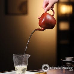 am tu sa my nhan kien dai hong bao 250ml--2