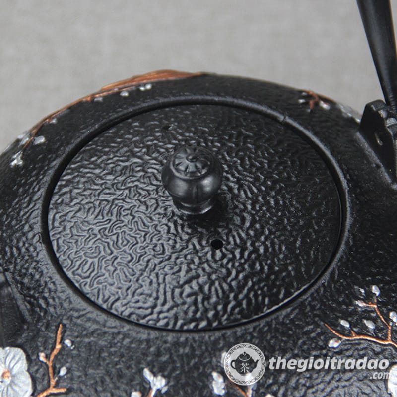 Bep dun nuoc pha tra bang gang tetsubin cao cap--5