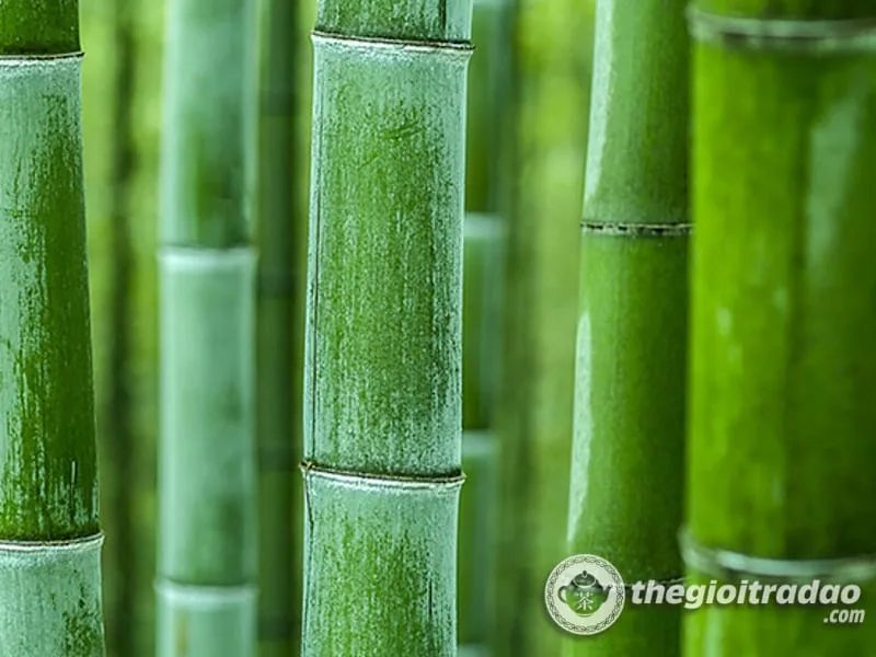 khay tra tre tron dep, co khoang chua nuoc, nhieu kich thuoc-944252855-10