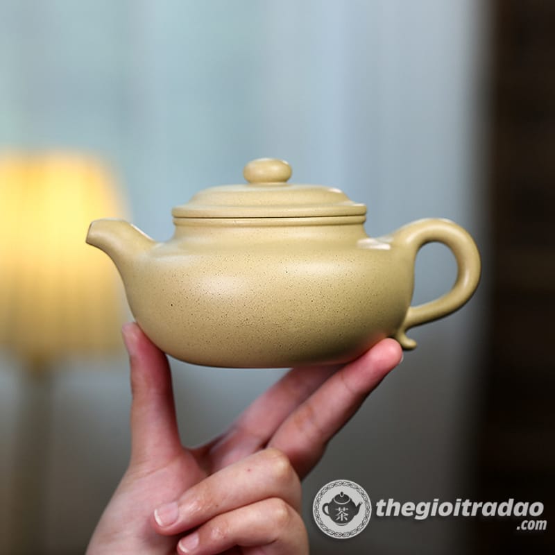 Ấm Tử Sa Phỏng Cổ Bổn Sơn Lục Nê 300ml 10 am tu sa phong co bon son luc ne 300ml--5