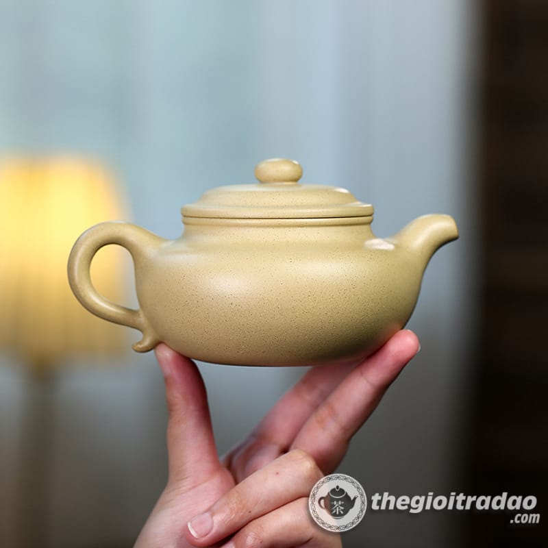 Ấm Tử Sa Phỏng Cổ Bổn Sơn Lục Nê 300ml 11 am tu sa phong co bon son luc ne 300ml--6