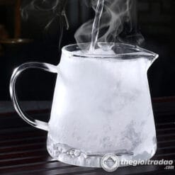 tong tra thuy tinh chiu nhiet kem loc tra 250ml--5
