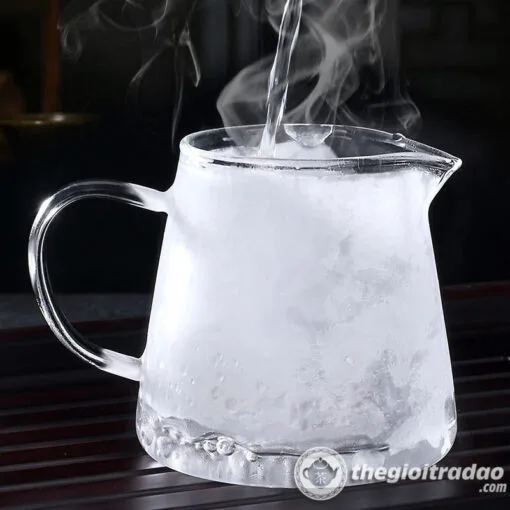 tong tra thuy tinh chiu nhiet kem loc tra 250ml--5