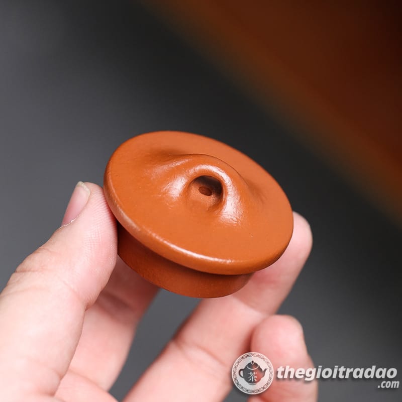 Ấm Tử Sa Nghi Hưng Thạch Biều Tử Dã Chu Nê 150ml 16 am tu sa thach bieu tu da chu ne 150ml--11