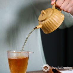 am tu sa chung quy ho hoang kim doan ne 220ml-785695447-3