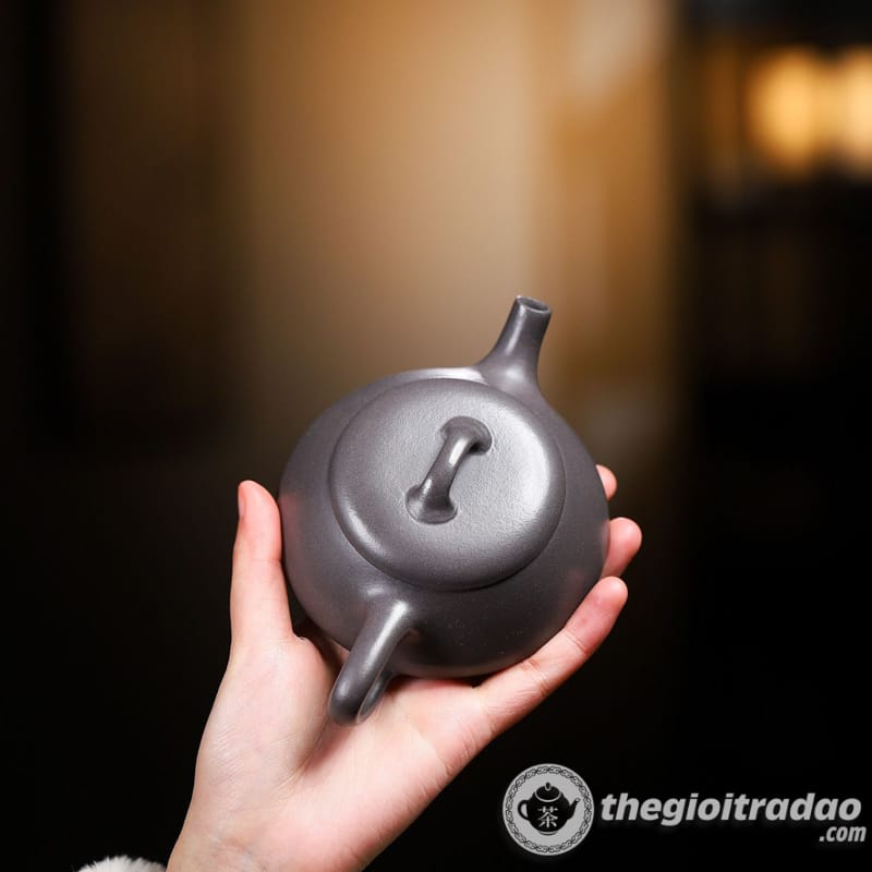 Ấm Tử Sa Thạch Biều Thiên Thanh Nê 230ml 15 am tu sa thach bieu thien thanh ne 230ml--10