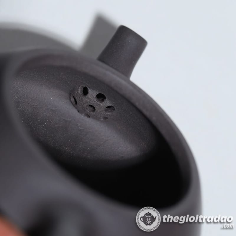 Ấm Tử Sa Thạch Biều Thiên Thanh Nê 230ml 19 am tu sa thach bieu thien thanh ne 230ml--14