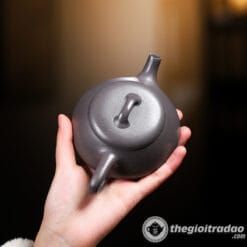 Ấm Tử Sa Thạch Biều Thiên Thanh Nê 230ml 7 am tu sa thach bieu thien thanh ne 230ml--2