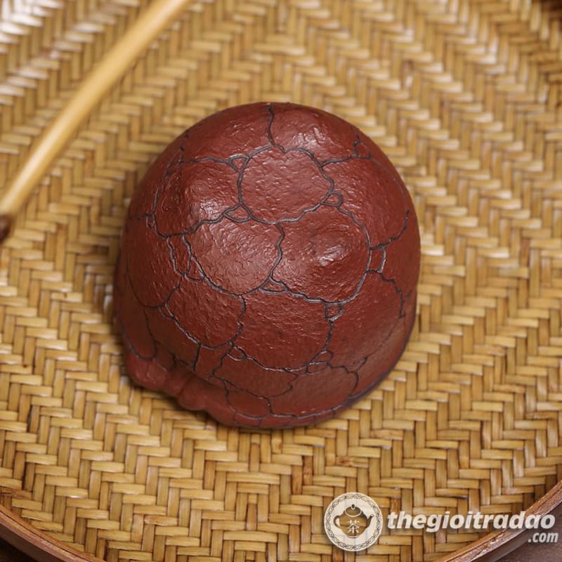 chen uong tra tu sa linh chi tu ne 170ml--4