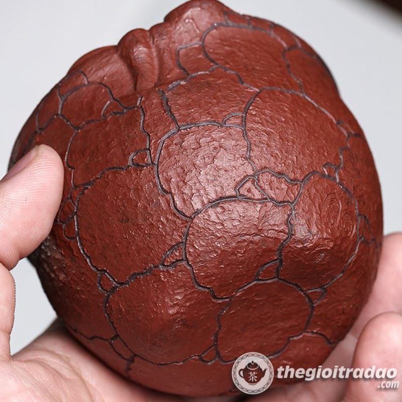 chen uong tra tu sa linh chi tu ne 170ml--7