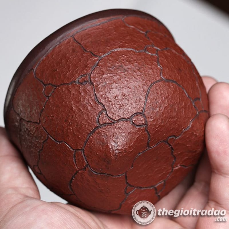 chen uong tra tu sa linh chi tu ne 170ml--8