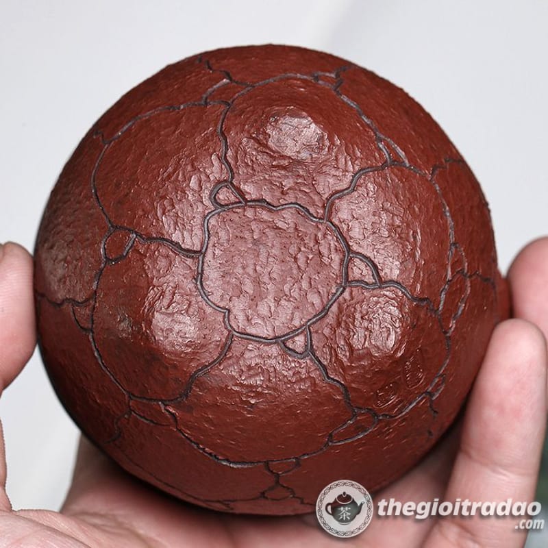 chen uong tra tu sa linh chi tu ne 170ml--9