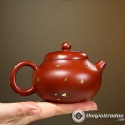 Ấm Tử Sa Nghi Hưng Văn Đán Đại Hồng Bào 190ml 5 am tu sa nghi hung van dan dai hong bao 190ml--2