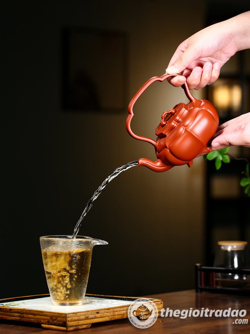 Ấm Tử Sa Như Ý Đề Lương Nguyên Khoáng Chu Nê 330ml 21 am tu sa nhu y de luong nguyen khoang chu ne 330ml--16