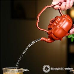 Ấm Tử Sa Như Ý Đề Lương Nguyên Khoáng Chu Nê 330ml 8 am tu sa nhu y de luong nguyen khoang chu ne 330ml--4